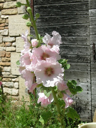 Catéchisme | Bourgogne 2009
